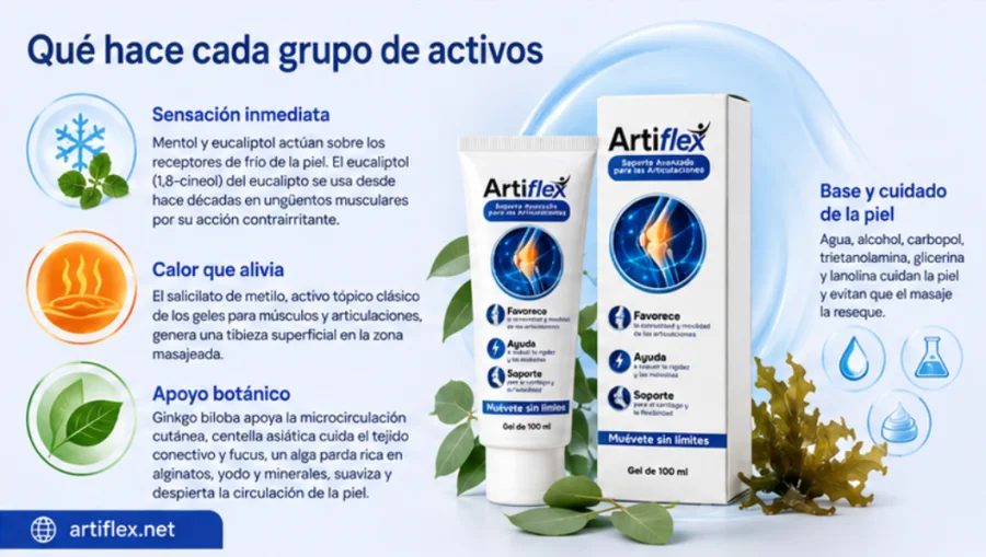 Artiflex — activos de la fórmula: mentol, eucaliptol y extractos vegetales
